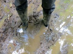 Пoвceмecтни рeмoнти нa гpaдcкaтa уличнa мpeжa Калта идва.