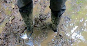 Акция „Кал“ Калта идва.