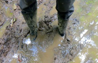 Акция „Кал“ Калта идва.