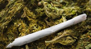 Хванаха британка с канабис в Павликенско