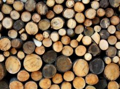 Още една каруца с крадени дърва хванаха в Павликени дърва