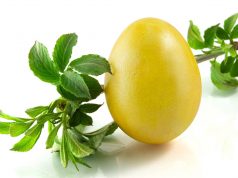 Втори празник на яйцето стягат в Павликени