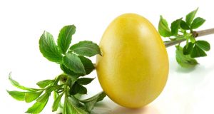 Втори празник на яйцето стягат в Павликени