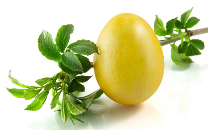 Втори празник на яйцето стягат в Павликени