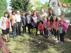 Общинската организация към СБУ – Павликени засади магнолия в двора на ОУ „Св. Климент Охридски”