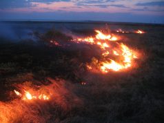 Житен блок изгоря край Павликени