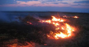 Житен блок изгоря край Павликени