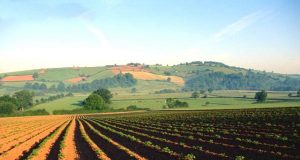 При евентуални нови стачни действия зърнопроизводителите от Павликени ще протестират ефективно