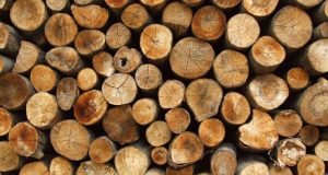 Две каруци незаконно отсечени дърва за огрев установиха полицаи при обход на ромската махала в Павликени