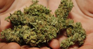 Задържаха притежател на канабис в Павликени марихуана