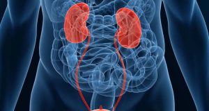 В Павликени организират безплатни срещи с уролози