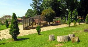 Работно време на зоокъта в Павликени през летните месеци