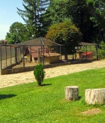 Работно време на зоокъта в Павликени през летните месеци