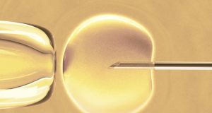 Роди се първото бебе по общинската програма „Ин витро“ в Павликени