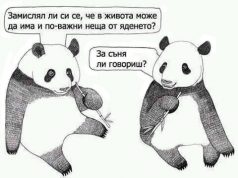Дневна доза хумор