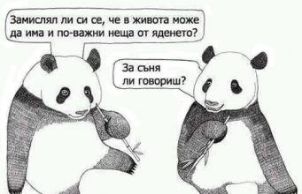 Дневна доза хумор