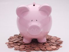 13.8 млн. лв. е бюджетът на Община Павликени за 2016 г.