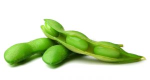 Депутати от БСП настояват да се изплатят средствата за Опитната станция по соята – Павликени