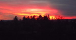 Залез над Павликени