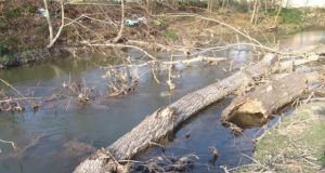 Спешно почистват опасен канал в Бяла черква