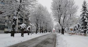 Павликени почистен много добре