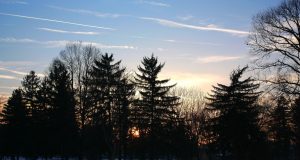 Залез над Павликени