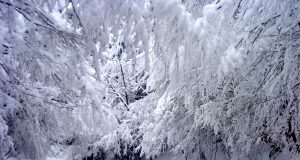 Снежна приказка в града на хубавите хора