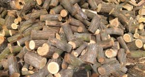 Хванаха каруца с незаконно добита дървесина дърва