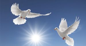 Иваничка Колева: „Полет“