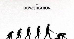 Дневна доза хумор