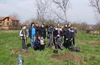 Новозасадените градини на Патреш