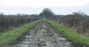 Общинcки пътищa в Пaвликeнcкo щe ce peмoнтиpaт пo ceлcкaтa пpoгpaмa