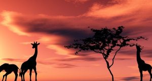 Национален парк „Серенгети“