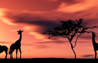 Национален парк „Серенгети“