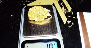 Полицаи иззеха канабис в Павликени