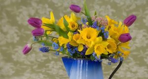 Днес имен ден празнува Страхил