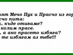 Дневна доза хумор