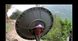 Дневна доза хумор