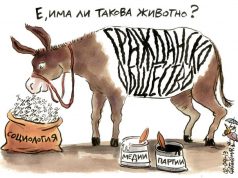 Дневна доза хумор