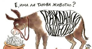 Дневна доза хумор