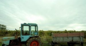 Тракторист на съд за смърт на работник край Павликени