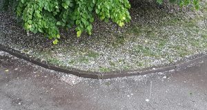 Градушка в Павликени