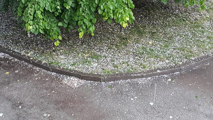 Градушка в Павликени