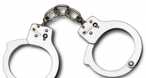 Заловиха иманяри в Павликенско белезници