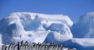 Договорът за Антарктида от 1961 година