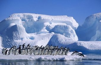 Договорът за Антарктида от 1961 година