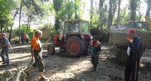 Институции и граждани почистваха Павликени за един ден