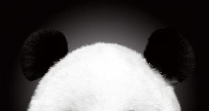 Лица от екрана