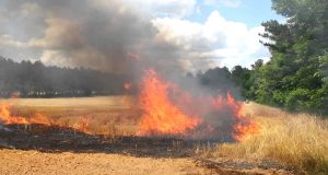 Осем сигнала за запалени сухи треви и отпадъци са регистрирани в региона през изминалото денонощие