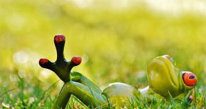 От какво се прави ливада